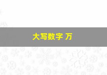 大写数字 万